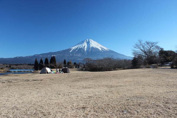 Lake Tanuki