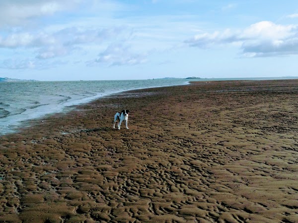 Firth of Forth 2