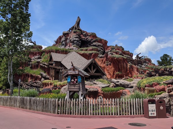 Tiana's Bayou Adventure 5