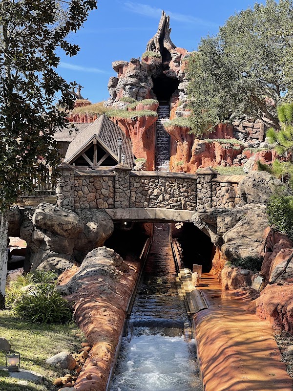 Tiana's Bayou Adventure 3