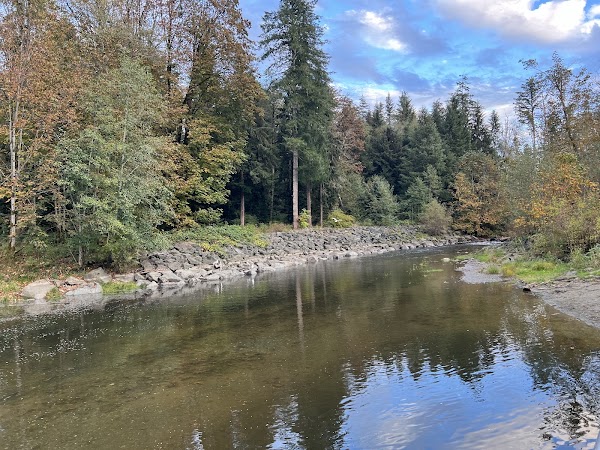 Quinsam River Hatchery 3