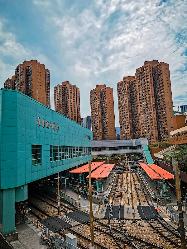 Siu Hong 5