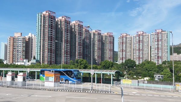 Siu Hong 3