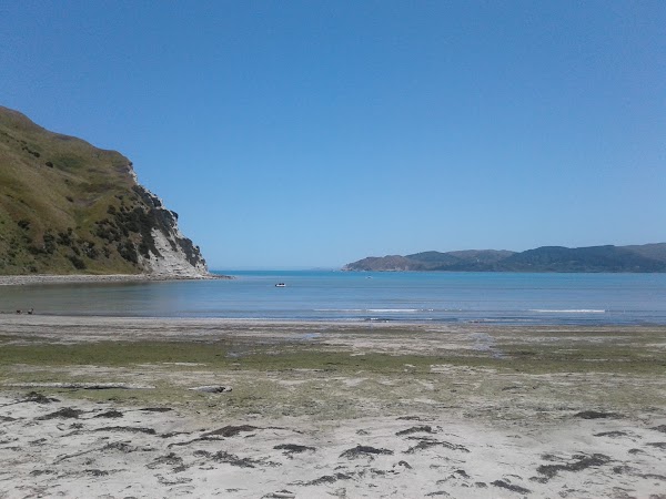 Mahia Peninsula 4