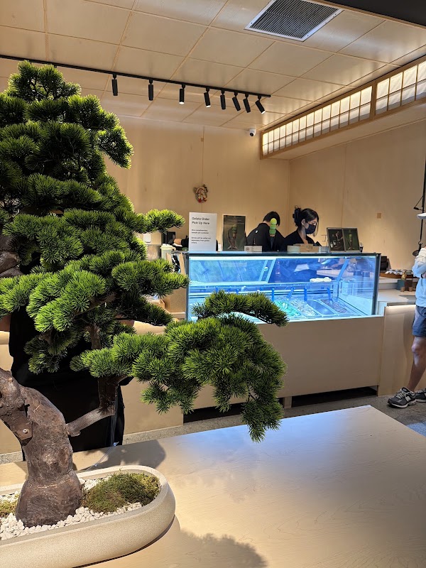 Matsu Matcha 3