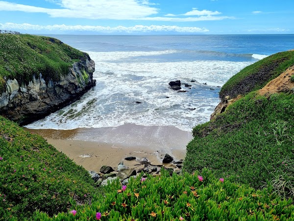 Natural Bridges State Beach 2