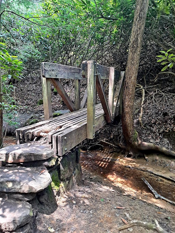 Endless Wall Trail 3