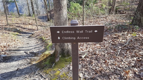 Endless Wall Trail 2