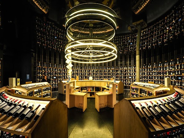 La Cité du Vin 4