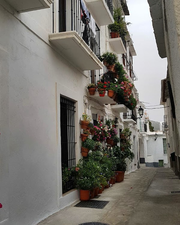 Sacromonte 5