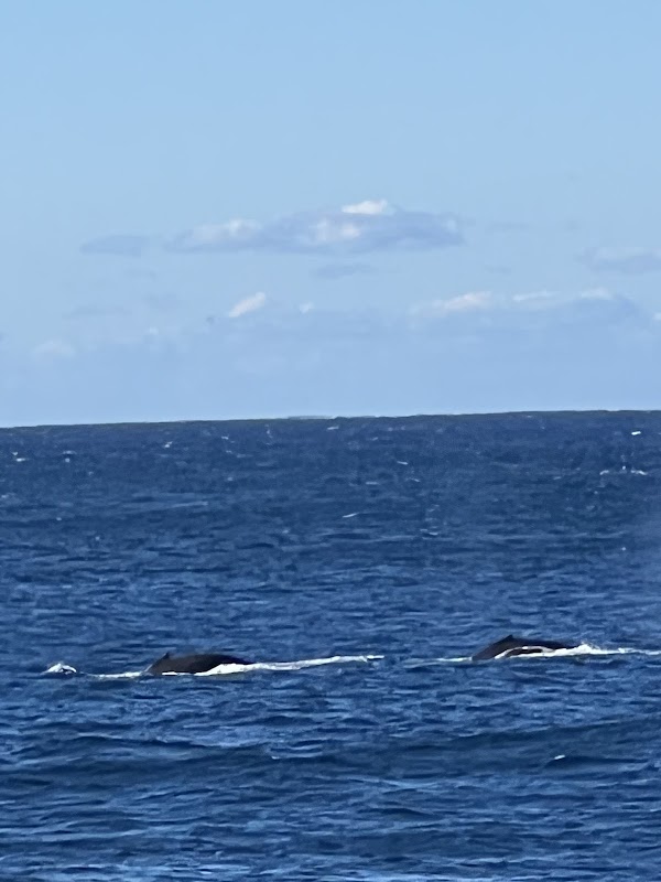 Cape Solander 4