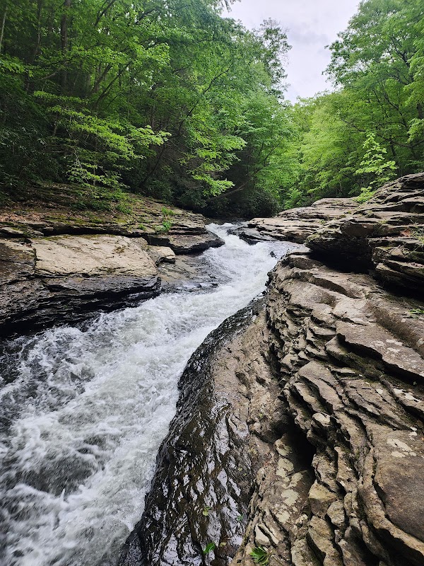 Ohiopyle State Park 4