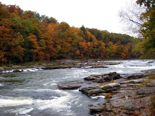 Ohiopyle State Park 3