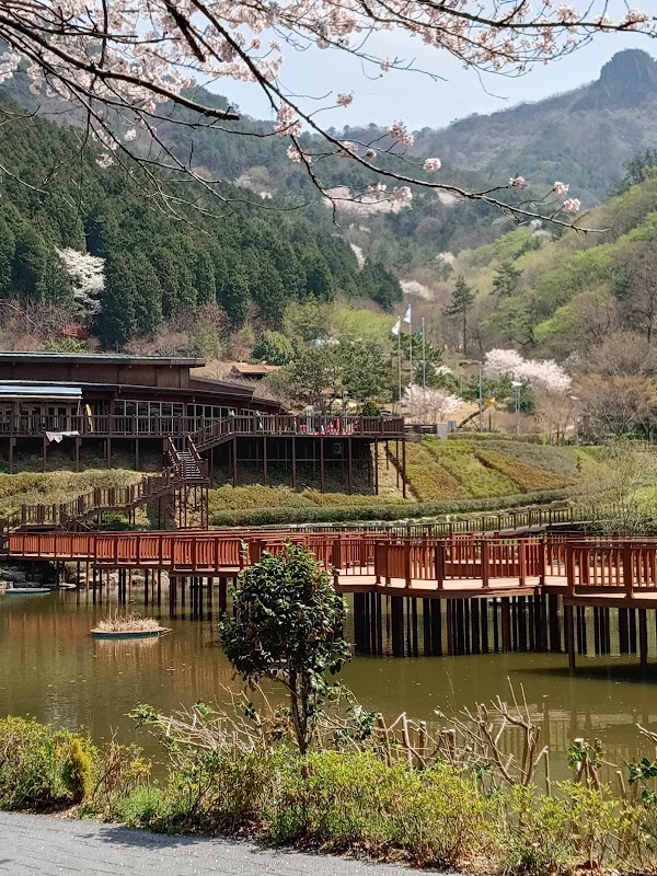 Jinhae Dream Park 1