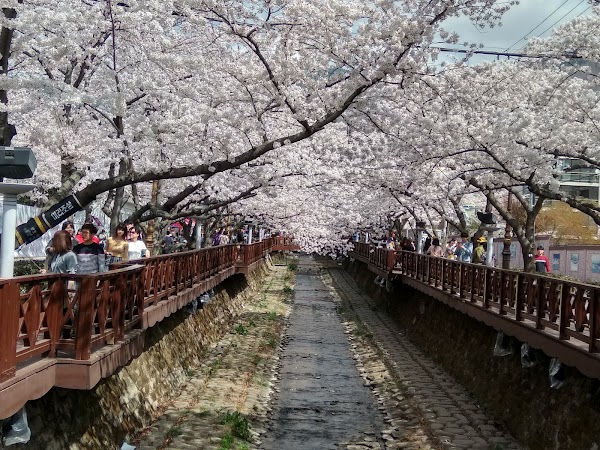 Jinhae Dream Park 5