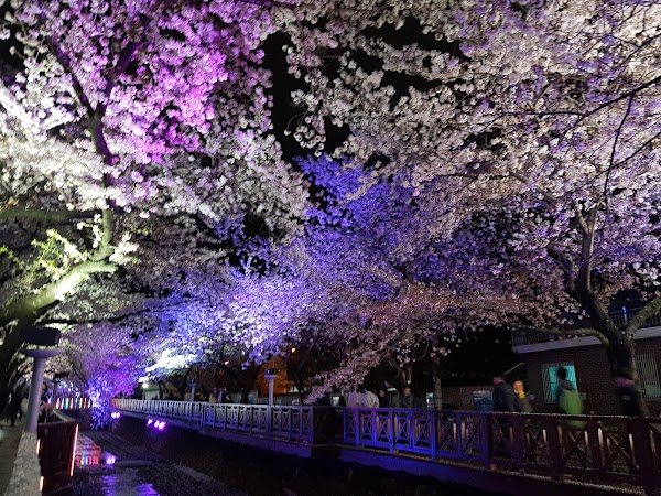 Jinhae Dream Park 3
