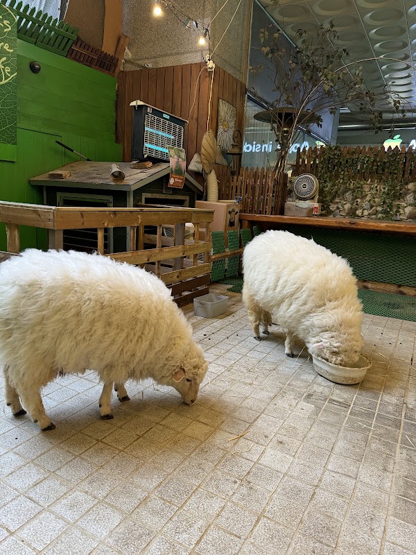 Thanks Nature Cafe 3