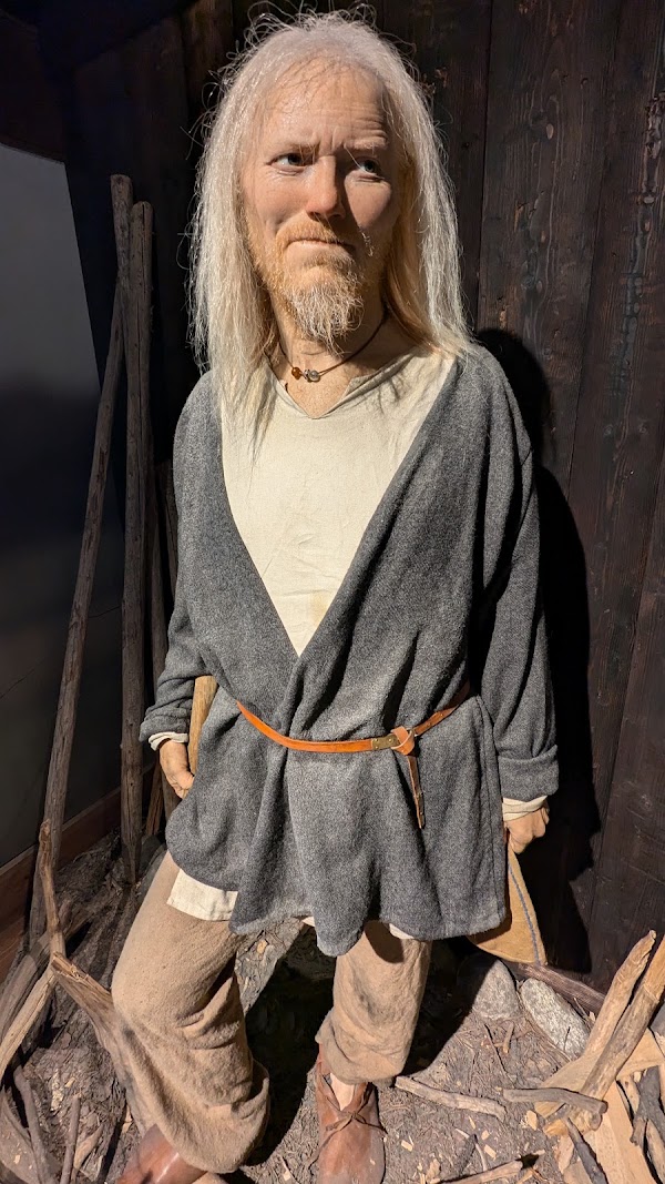 The Viking Museum 2