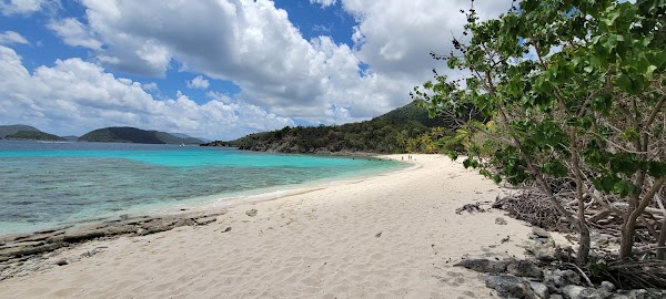 Gibney Beach
