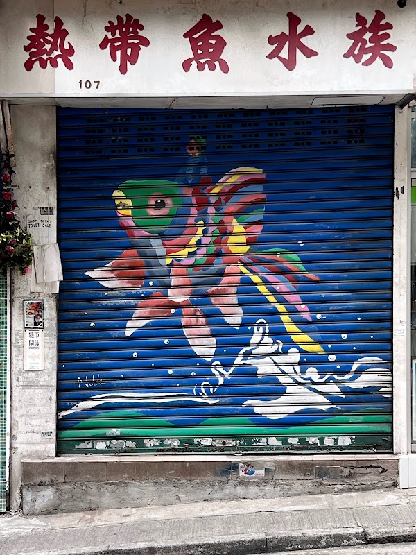 Pondi