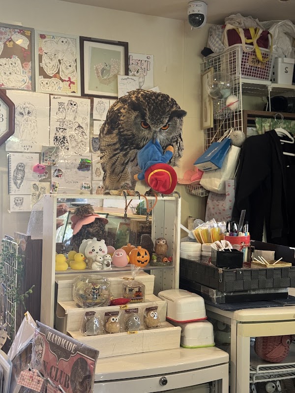 Owl Village Cafe Harajuku 2