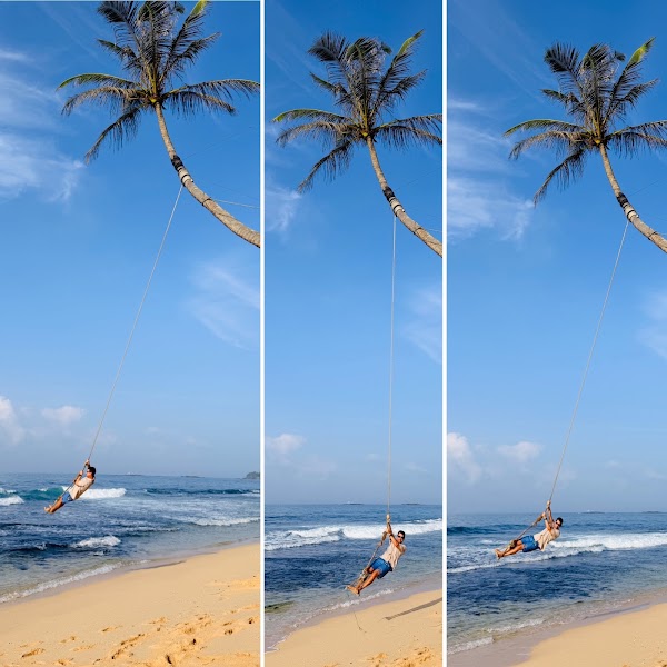 The Palm Rope Swin 1