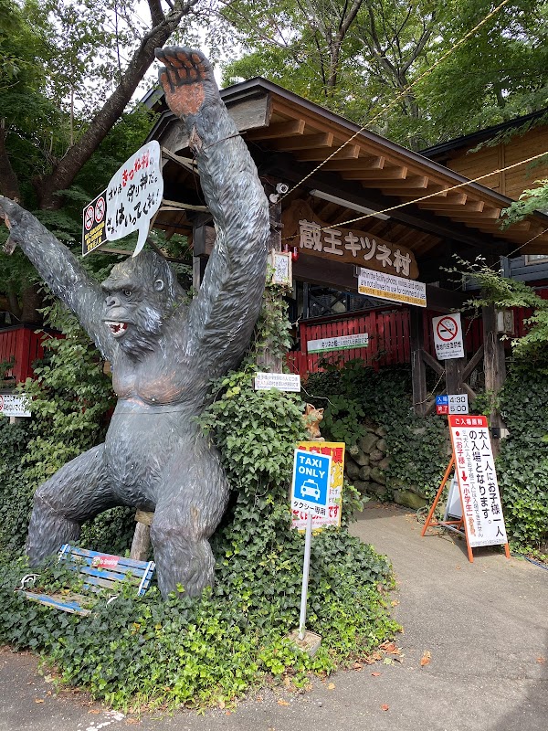 Zaō Fox Village 3