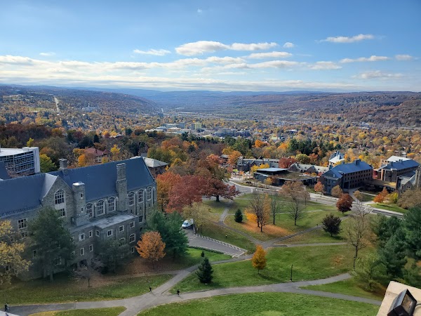 Cornell University 4