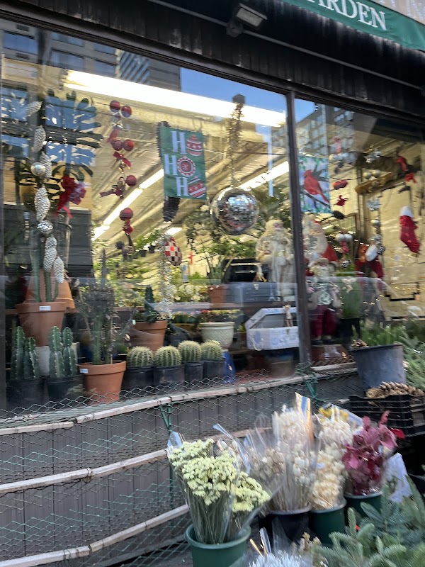 Flower District 1