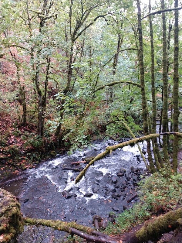 Bridal Veil