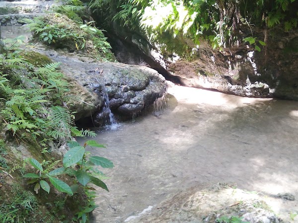 Tumalog 2