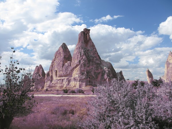 Rose Valley 3