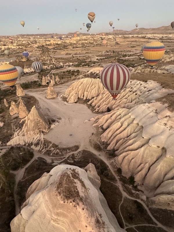 Rose Valley 2