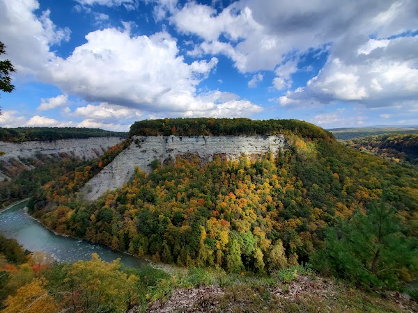 Archery Field Overlook