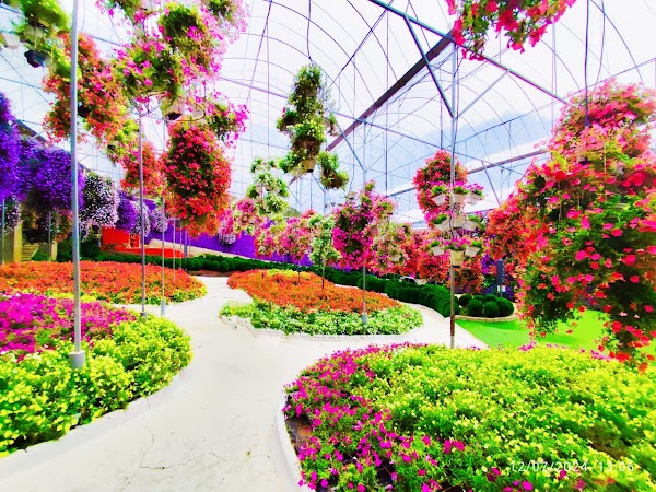 Cameron Highlands Flora Park 4