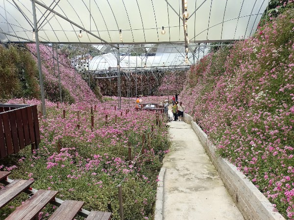 Cameron Highlands Flora Park 3