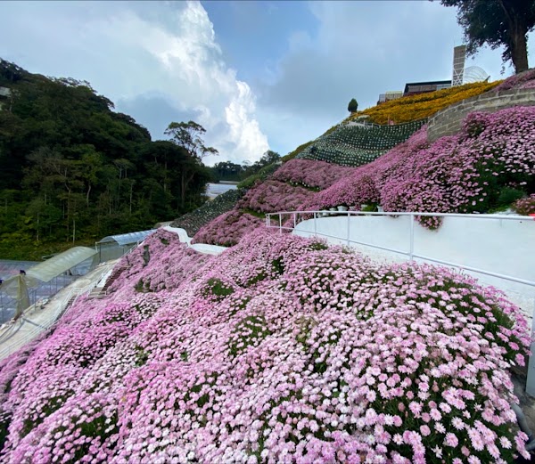 Cameron Highlands Flora Park 2