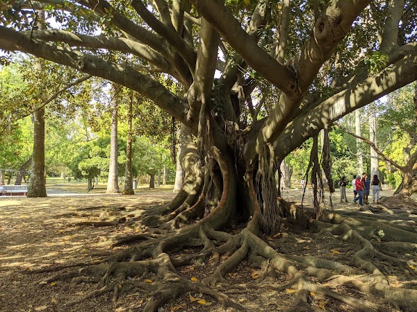 Tropical Botanical Garden 3