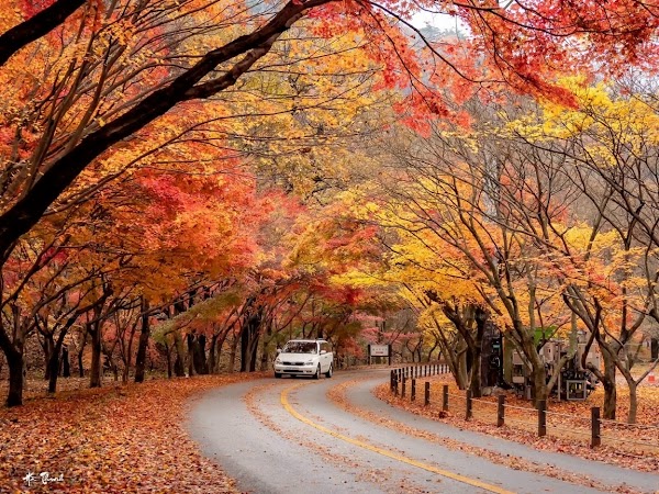 Naejangsan National Park 5
