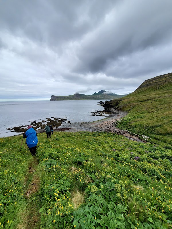 Hornstrandir 5