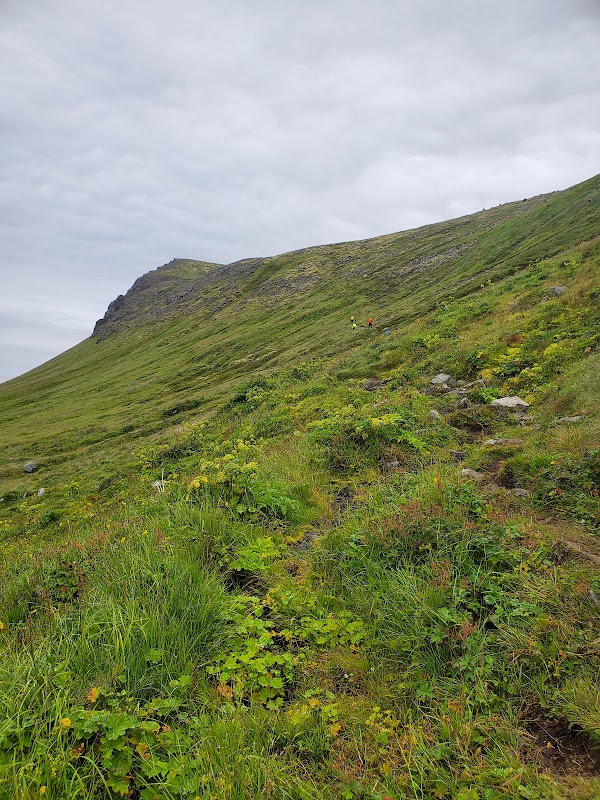 Hornstrandir 3