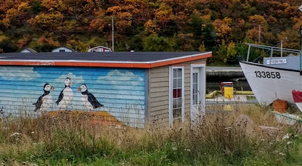 Petty Harbour-Maddox Cove 4