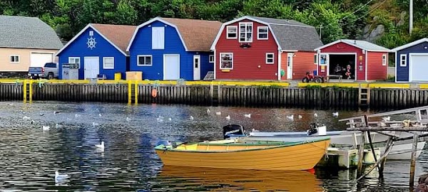 Petty Harbour-Maddox Cove 2