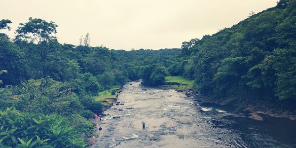 Malaprabha River 3