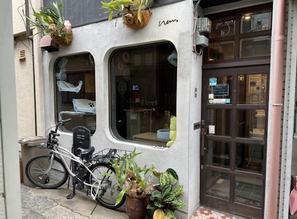 shelter cat ＆ VEGAN café “neu” 1