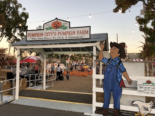 Pumpkin City's Pumpkin Farm