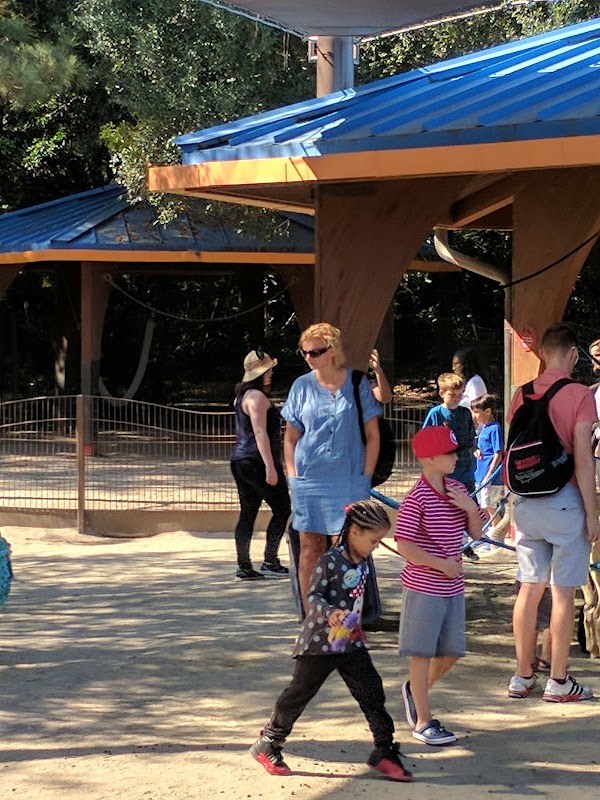 Rafiki's Planet Watch 5