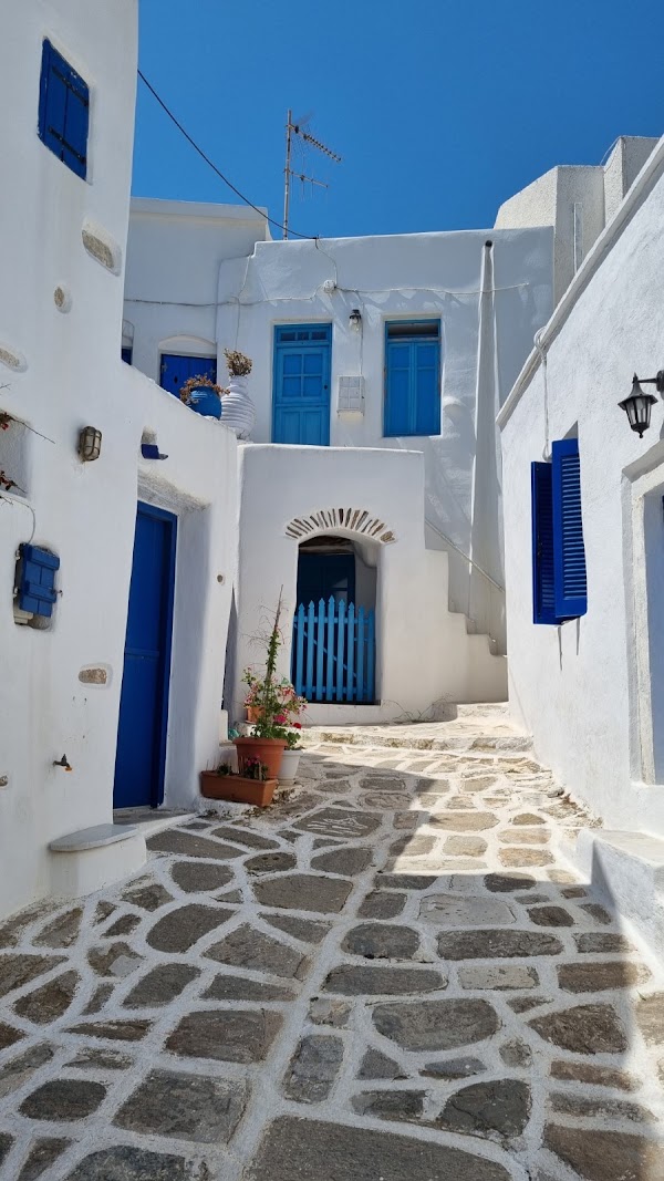 Marpissa 4