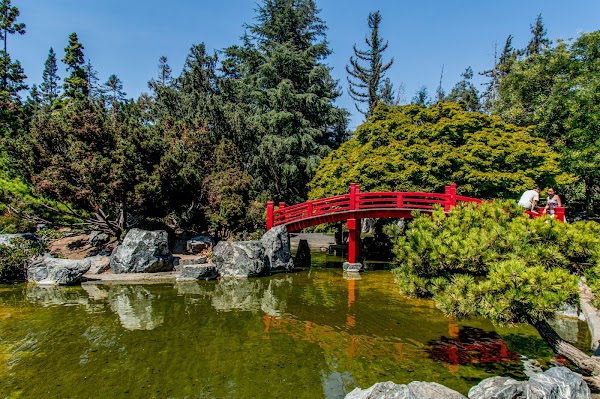 Japanese Friendship Garden 1