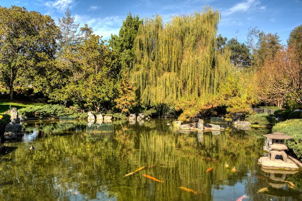 Japanese Friendship Garden 5